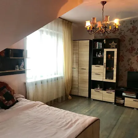 Διαμέρισμα Kristina Κάουνας